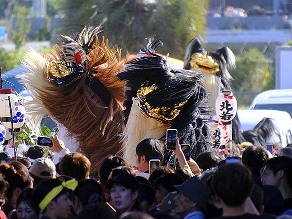 日本‧播州秋祭(十一)‧大塩天滿宮(下)‧毛獅子舞(Oshi 日本‧播州秋祭(十一)‧大塩天滿宮(下)‧毛獅子舞(Oshi