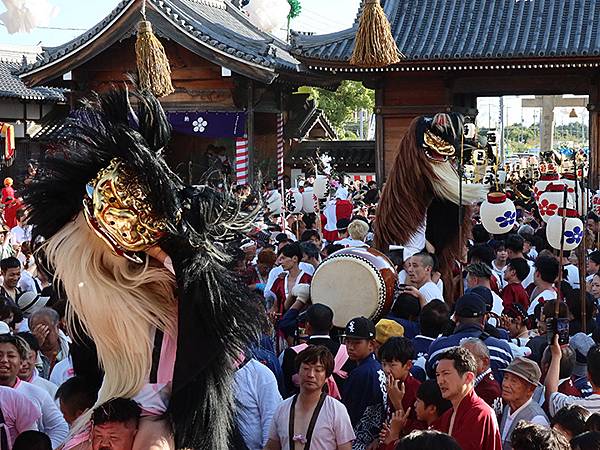 日本‧播州秋祭(十一)‧大塩天滿宮(下)‧毛獅子舞(Oshi 日本‧播州秋祭(十一)‧大塩天滿宮(下)‧毛獅子舞(Oshi