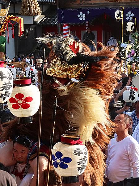 日本‧播州秋祭(十一)‧大塩天滿宮(下)‧毛獅子舞(Oshi 日本‧播州秋祭(十一)‧大塩天滿宮(下)‧毛獅子舞(Oshi