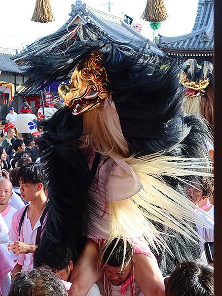 日本‧播州秋祭(十一)‧大塩天滿宮(下)‧毛獅子舞(Oshi 日本‧播州秋祭(十一)‧大塩天滿宮(下)‧毛獅子舞(Oshi