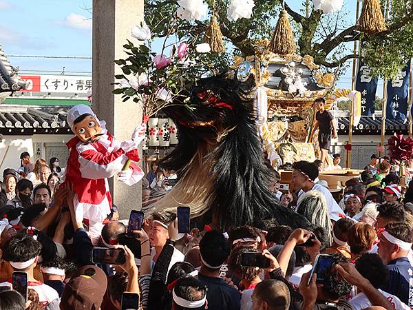 日本‧播州秋祭(十一)‧大塩天滿宮(下)‧毛獅子舞(Oshi 日本‧播州秋祭(十一)‧大塩天滿宮(下)‧毛獅子舞(Oshi