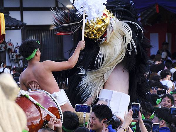 日本‧播州秋祭(十一)‧大塩天滿宮(下)‧毛獅子舞(Oshi 日本‧播州秋祭(十一)‧大塩天滿宮(下)‧毛獅子舞(Oshi