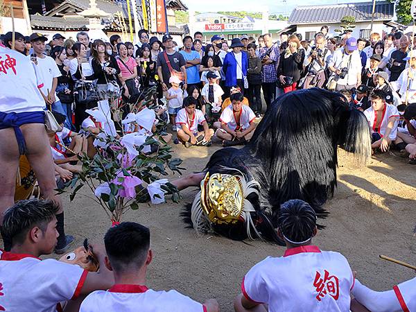 日本‧播州秋祭(十一)‧大塩天滿宮(下)‧毛獅子舞(Oshi 日本‧播州秋祭(十一)‧大塩天滿宮(下)‧毛獅子舞(Oshi