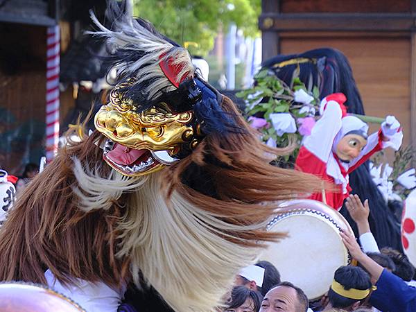 日本‧播州秋祭(十一)‧大塩天滿宮(下)‧毛獅子舞(Oshi 日本‧播州秋祭(十一)‧大塩天滿宮(下)‧毛獅子舞(Oshi