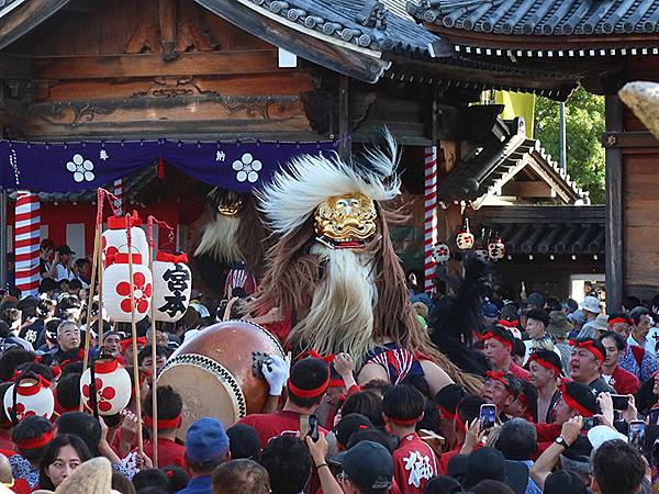 日本‧播州秋祭(十一)‧大塩天滿宮(下)‧毛獅子舞(Oshi 日本‧播州秋祭(十一)‧大塩天滿宮(下)‧毛獅子舞(Oshi