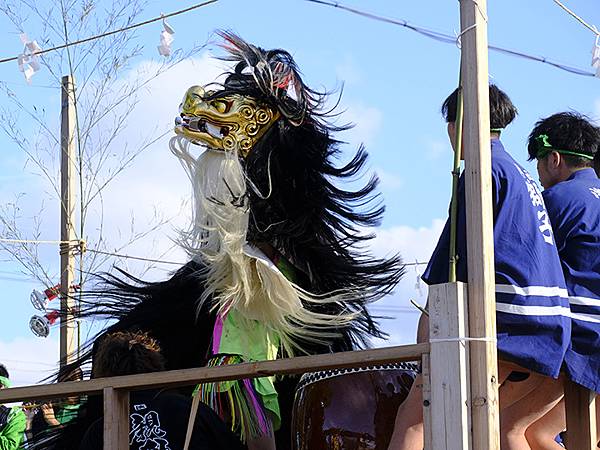 日本‧播州秋祭(十一)‧大塩天滿宮(下)‧毛獅子舞(Oshi 日本‧播州秋祭(十一)‧大塩天滿宮(下)‧毛獅子舞(Oshi