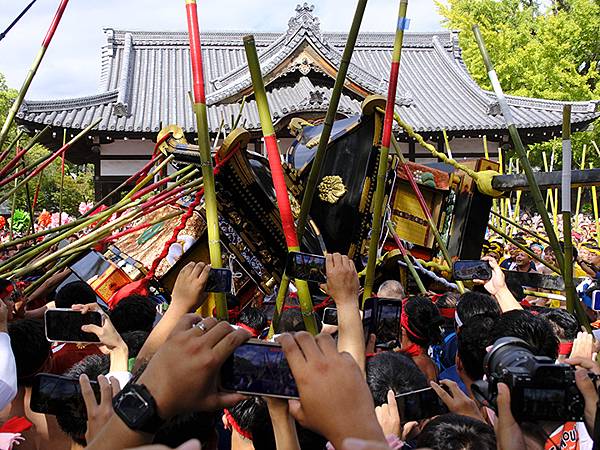 日本‧播州秋祭(十二)‧松原八幡神社(上)‧屋台和獅子舞(N 日本‧播州秋祭(十二)‧松原八幡神社(上)‧屋台和獅子舞(N