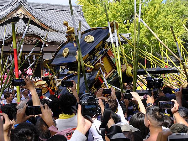 日本‧播州秋祭(十二)‧松原八幡神社(上)‧屋台和獅子舞(N 日本‧播州秋祭(十二)‧松原八幡神社(上)‧屋台和獅子舞(N