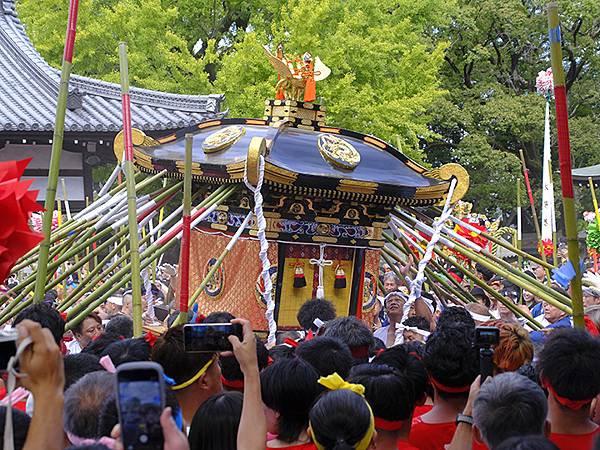 日本‧播州秋祭(十二)‧松原八幡神社(上)‧屋台和獅子舞(N 日本‧播州秋祭(十二)‧松原八幡神社(上)‧屋台和獅子舞(N