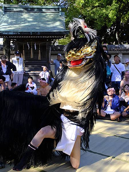 日本‧播州秋祭(十二)‧松原八幡神社(上)‧屋台和獅子舞(N 日本‧播州秋祭(十二)‧松原八幡神社(上)‧屋台和獅子舞(N
