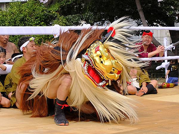 日本‧播州秋祭(十二)‧松原八幡神社(上)‧屋台和獅子舞(N 日本‧播州秋祭(十二)‧松原八幡神社(上)‧屋台和獅子舞(N
