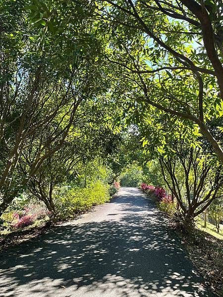 玩耍日記_231107_5 玩耍日記_231107_5