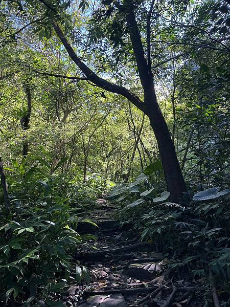 小百岳011｜姜子寮O型縱走：福興宮 > 姜子寮絕壁古道 >