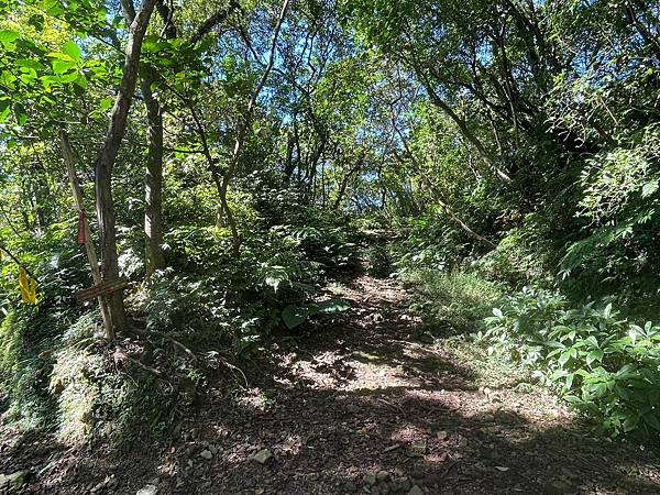 小百岳011|姜子寮O型縱走:福興宮 > 姜子寮絕壁古道 > 小百岳011|姜子寮O型縱走:福興宮 > 姜子寮絕壁古道 >