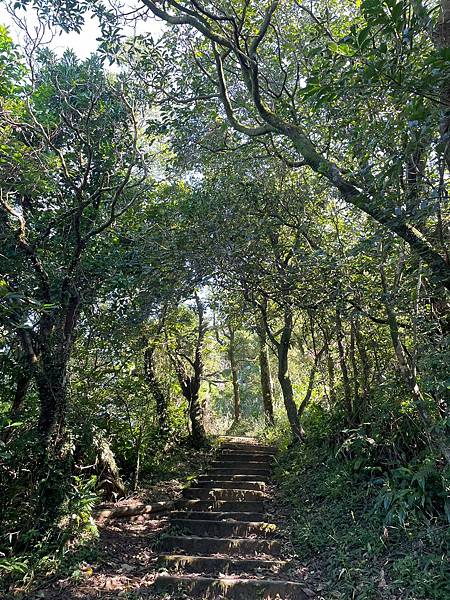 小百岳011|姜子寮O型縱走:福興宮 > 姜子寮絕壁古道 > 小百岳011|姜子寮O型縱走:福興宮 > 姜子寮絕壁古道 >