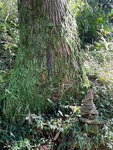 小百岳011｜姜子寮O型縱走：福興宮 > 姜子寮絕壁古道 >