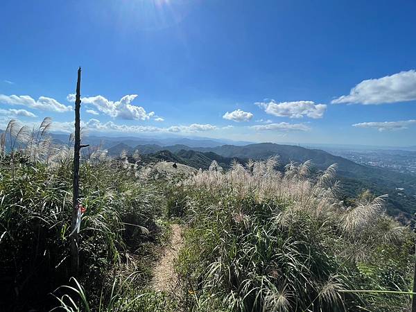 小百岳011｜姜子寮O型縱走：福興宮 > 姜子寮絕壁古道 >