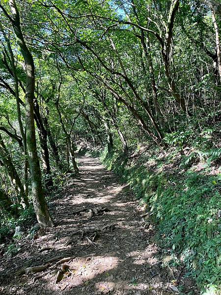 小百岳011｜姜子寮O型縱走：福興宮 > 姜子寮絕壁古道 >