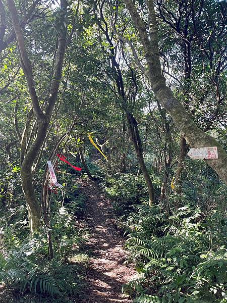 小百岳011|姜子寮O型縱走:福興宮 > 姜子寮絕壁古道 > 小百岳011|姜子寮O型縱走:福興宮 > 姜子寮絕壁古道 >