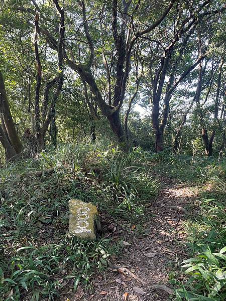 小百岳011｜姜子寮O型縱走：福興宮 > 姜子寮絕壁古道 >