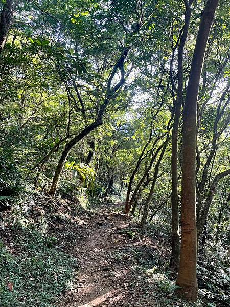 小百岳011｜姜子寮O型縱走：福興宮 > 姜子寮絕壁古道 >