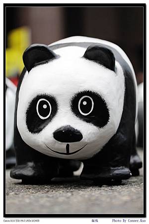 貓熊世界之旅 貓熊世界之旅