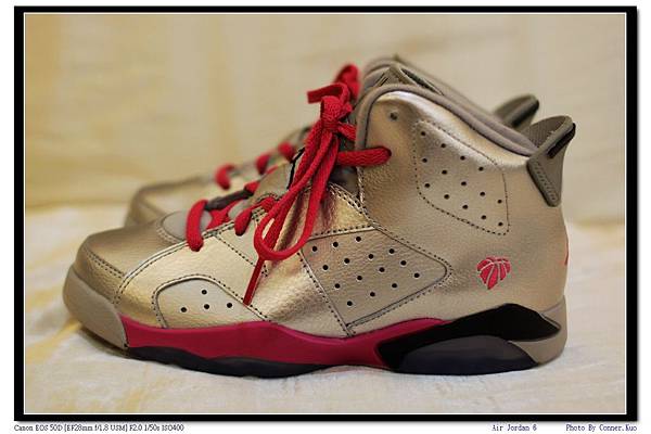 Air Jordan 6