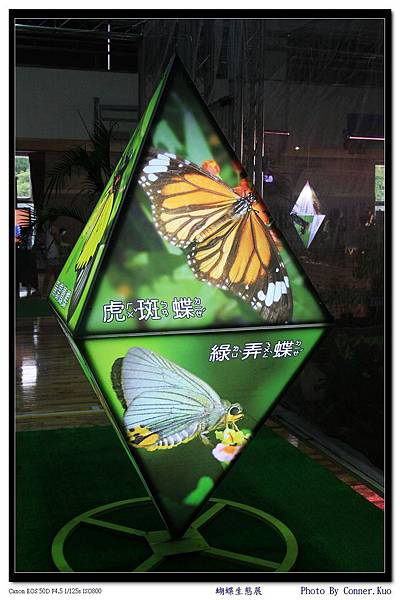 蝴蝶生態展