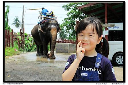 Elephant Village