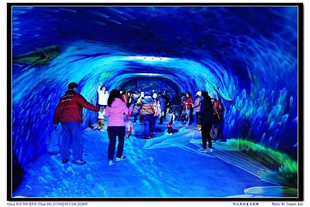 祝大魚物產文創館