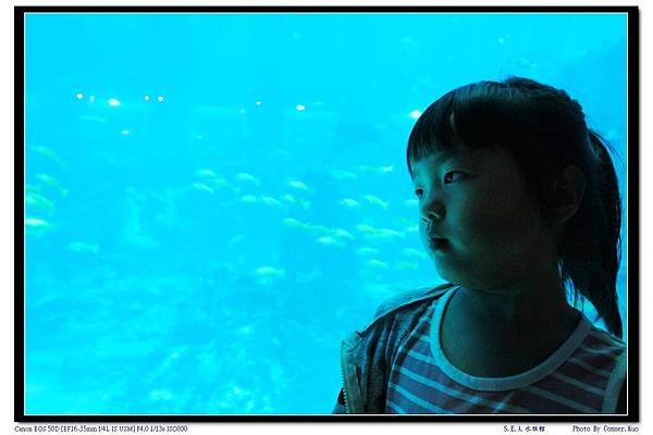 S.E.A.水族館