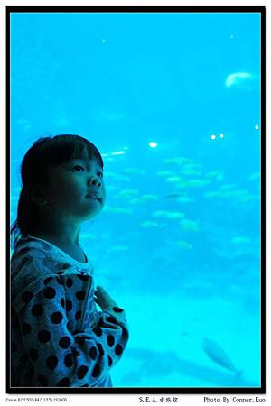 S.E.A.水族館