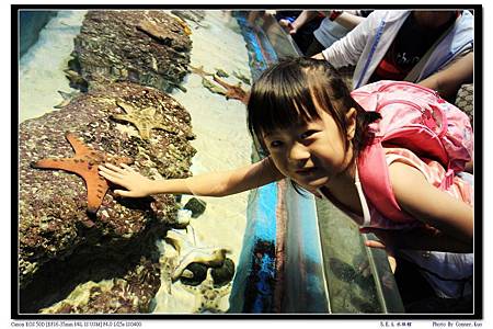 S.E.A.水族館