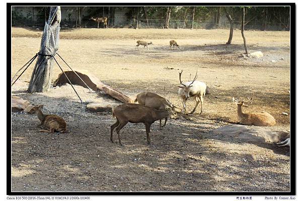 野生動物園