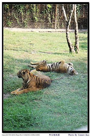 野生動物園