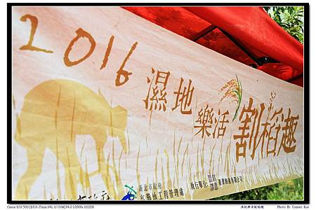 濕地樂活割稻趣 濕地樂活割稻趣