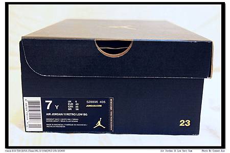 Air Jordan 11 Low Navy Gum