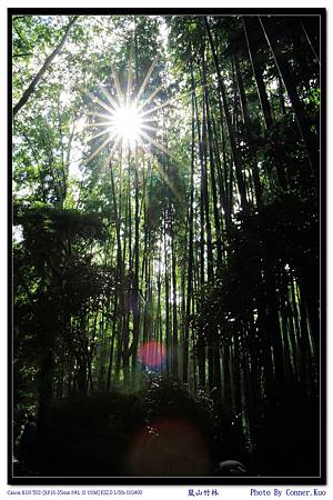 嵐山竹林 嵐山竹林
