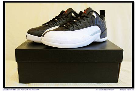 Air Jordan 12 Low Playoff