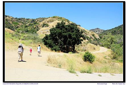 Hollywood Sign