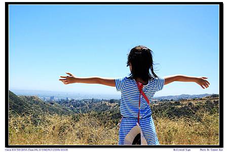 Hollywood Sign