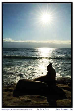 La Jolla Cove