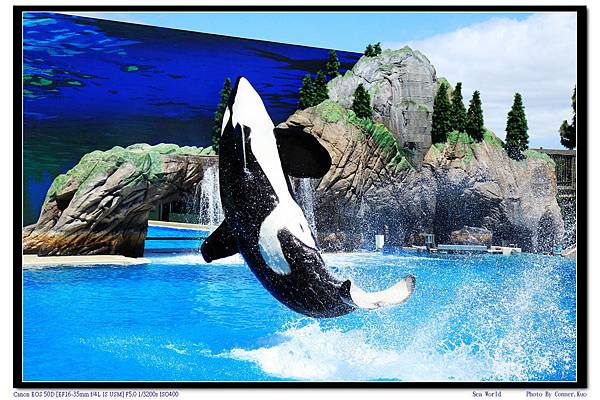 Sea World