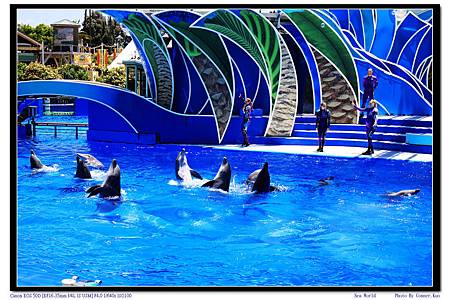 Sea World