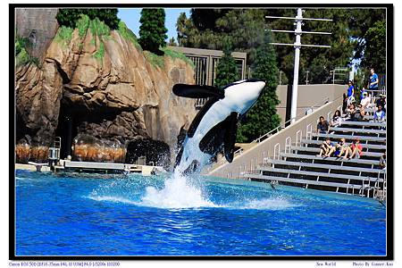 Sea World