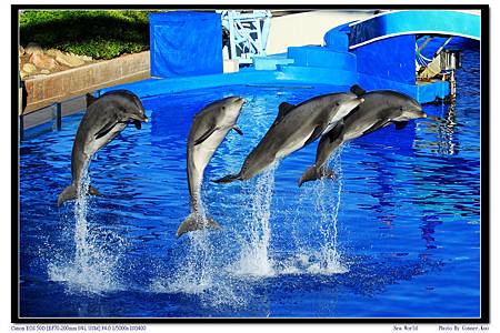 Sea World