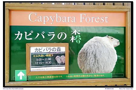 那須動物王國 那須動物王國