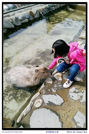 那須動物王國