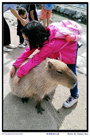 那須動物王國