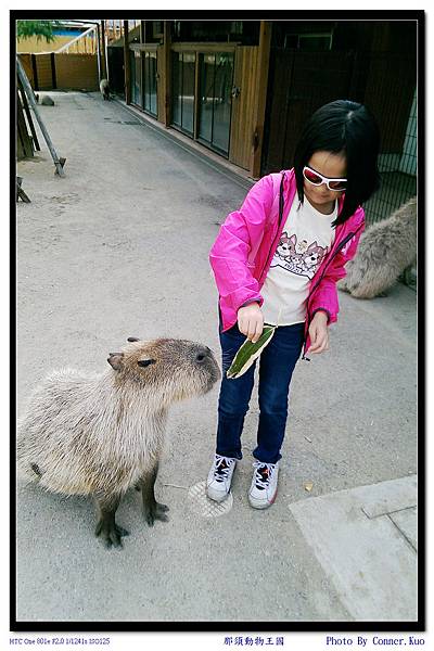 那須動物王國